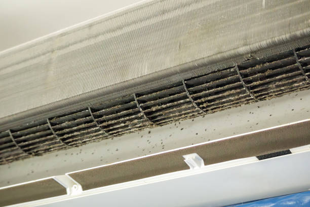 Best Air Duct Cleaning Cost  in Arkoma, OK